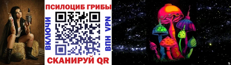 Галлюциногенные грибы Psilocybine cubensis  Лысково 